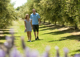 Strolling the orchards.