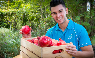 Rohan Sali with a box of pomegranates.