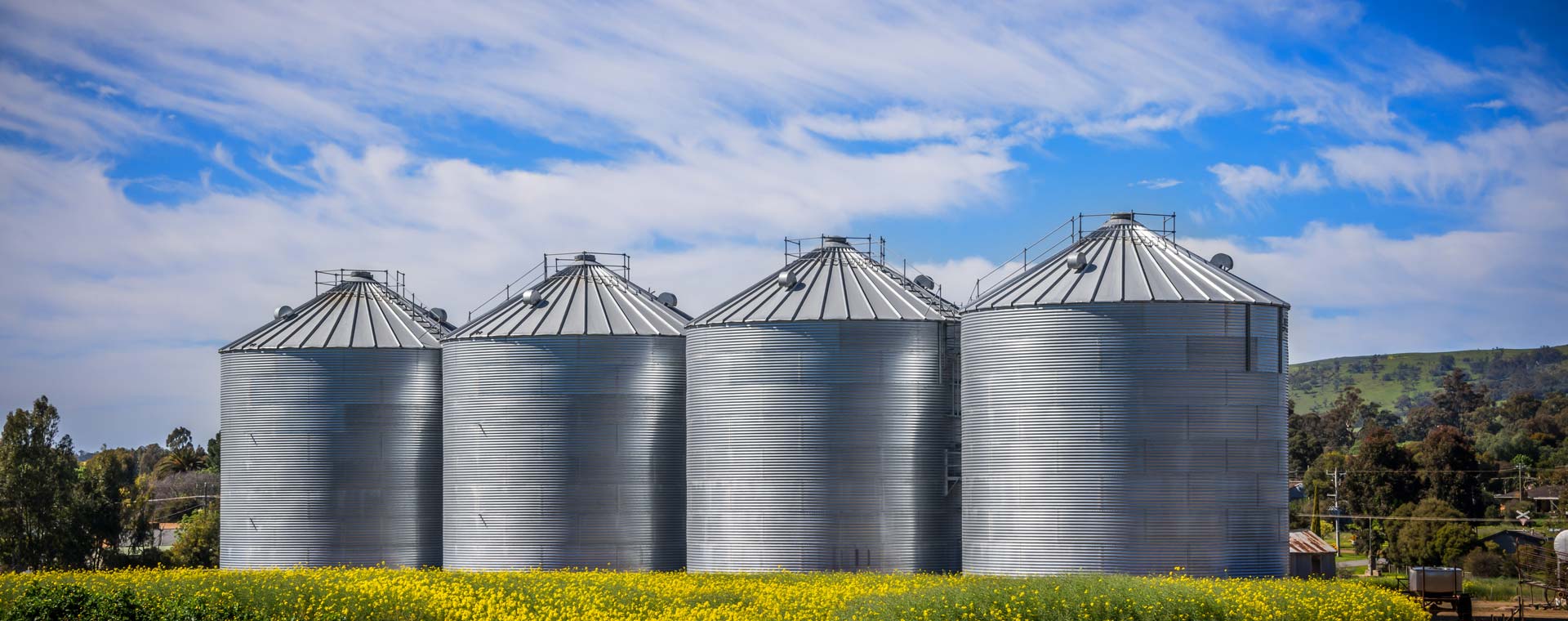 Silos in canola fields