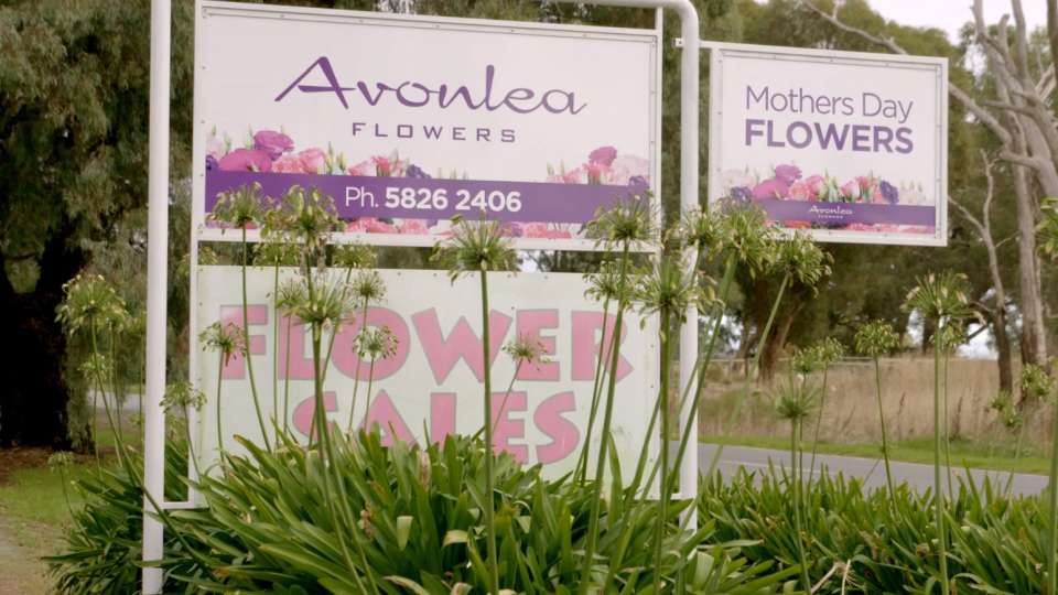 Avonlea Flowers - Greater Shepparton Great Thing Happen Here